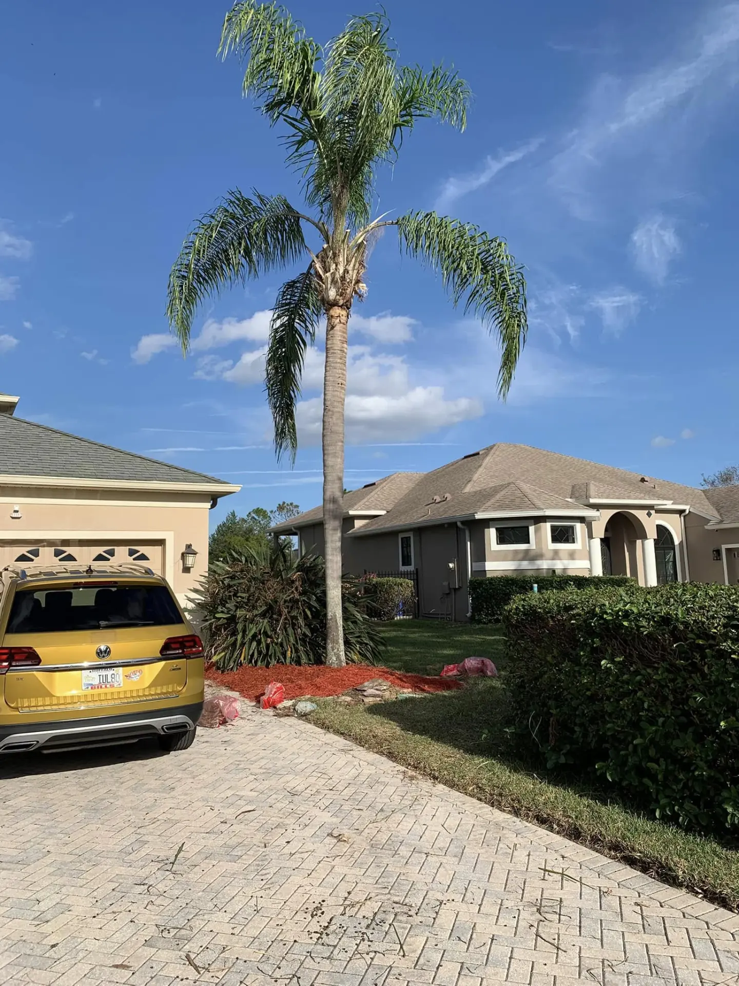 Fresh mulch and trimmed palm beside a paver driveway